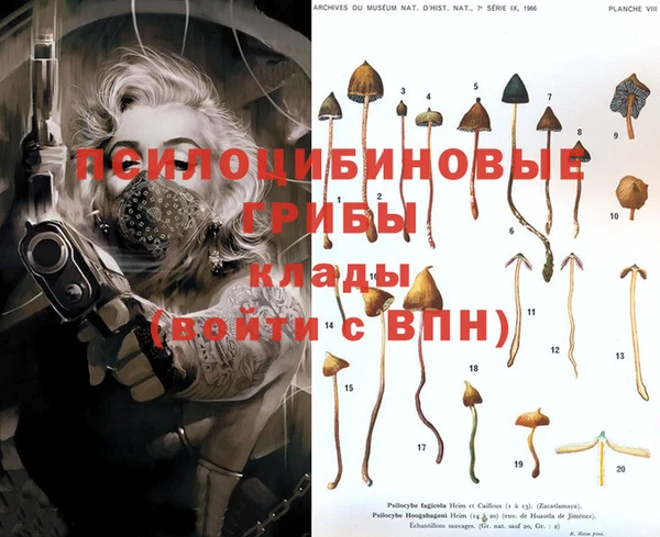 альфа пвп VHQ Дмитриев