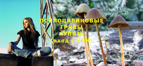 ALPHA-PVP Остров