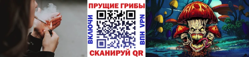 Галлюциногенные грибы MAGIC MUSHROOMS  OMG зеркало  Похвистнево 