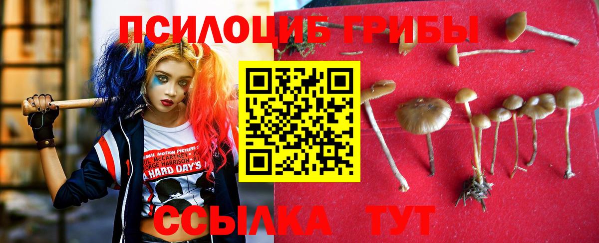 Псилоцибиновые грибы MAGIC MUSHROOMS Похвистнево